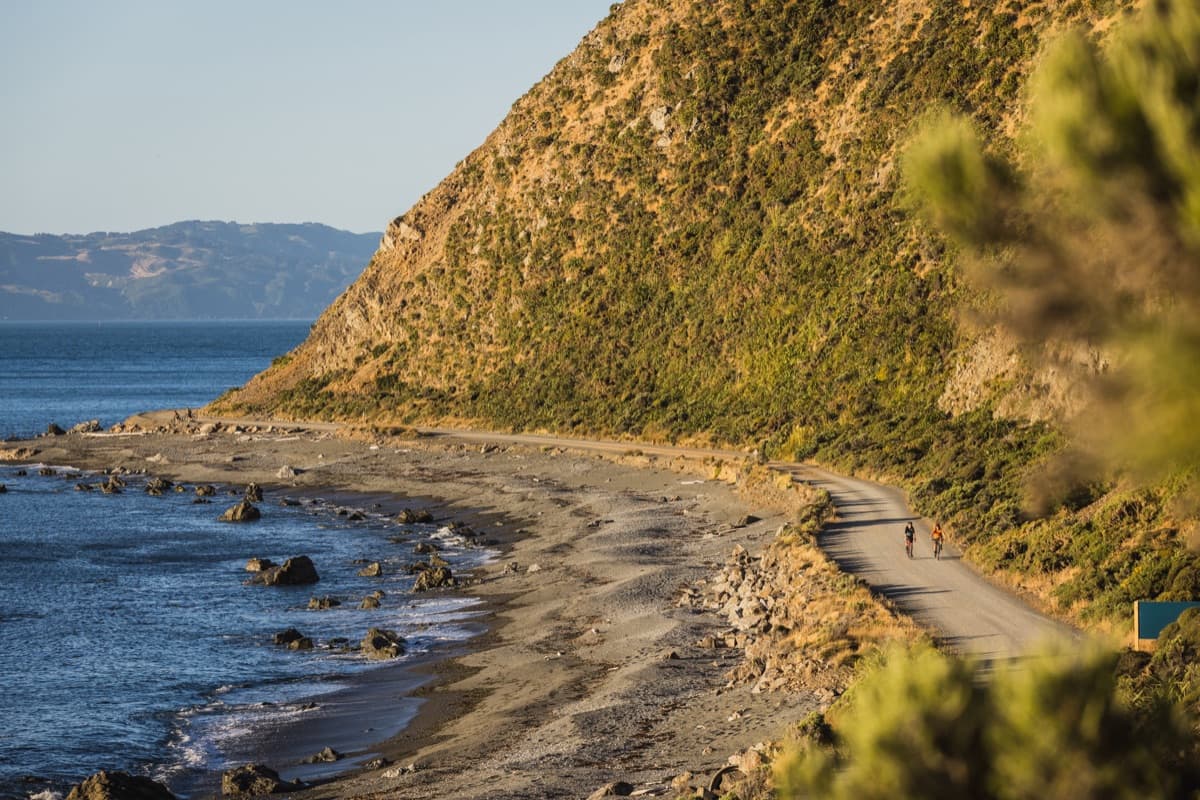 The 7km coastal track from Eastbourne to New Zealand's first permanent lighthouse — once tended by the country's only female lighthouse keeper, Mary Jane Bennett. Wild coastline, native seabirds, and views across Cook Strait to the South Island. Keep going past the lighthouse to reach Lake Kohangatera for eels, waterfowl, and serious tranquility. Allow four hours return on foot or ninety minutes by bike. Be warned — the southerlies can be fierce out here.